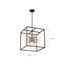 Spirefly 6 Light Pendant Fixture Matte Black and Burnished Brass Finish