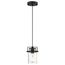 Antebellum 1 Light Mini Pendant Fixture Matte Black Finish w/ Clear Glass