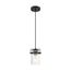 Antebellum 1 Light Mini Pendant Fixture Black and Aged Gold Finish w/ Clear Glass