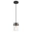 Antebellum 1 Light Mini Pendant Fixture Black and Aged Gold Finish w/ Clear Glass