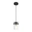 Antebellum 1 Light Mini Pendant Fixture Black and Aged Gold Finish w/ Clear Glass