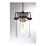 Antebellum 1 Light Mini Pendant Fixture Black and Aged Gold Finish w/ Clear Glass