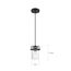 Antebellum 1 Light Mini Pendant Fixture Black and Aged Gold Finish w/ Clear Glass