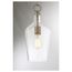 Hartley 1 Light Pendant Fixture Antique Copper Finish w/ Clear Glass