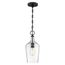 Hartley 1 Light Pendant Fixture Matte Black Finish w/ Clear Glass