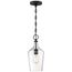 Hartley 1 Light Pendant Fixture Matte Black Finish w/ Clear Glass