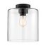 Chantecleer 1 Light Semi-Flush Fixture Matte Black Finish w/ Clear Glass