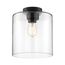 Chantecleer 1 Light Semi-Flush Fixture Matte Black Finish w/ Clear Glass