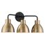 Sloan 3 Light Vanity Matte Black and Burnished Brass Finish