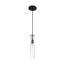 Spyglass 1 Light Mini Pendant Fixture Black Finish w/ Clear Glass