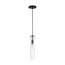 Spyglass 1 Light Mini Pendant Fixture Black Finish w/ Clear Glass