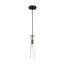 Spyglass 1 Light Mini Pendant Fixture Black Finish w/ Clear Glass