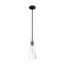 Bahari 1 Light Mini Pendant Fixture Black Finish w/ Clear Glass