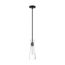 Bahari 1 Light Mini Pendant Fixture Black Finish w/ Clear Glass