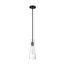 Bahari 1 Light Mini Pendant Fixture Black Finish w/ Clear Glass