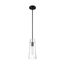 Alondra 1 Light Mini Pendant Fixture Black Finish w/ Clear Glass