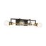 Intention 4 Light Vanity Warm Brass and Black Finish