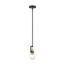 Intention 1 Light Mini Pendant Fixture Warm Brass and Black Finish