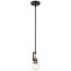 Intention 1 Light Mini Pendant Fixture Warm Brass and Black Finish