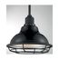 Newbridge 1 Light Small Pendant Fixture Gloss Black Finish w/ Silver and Textured Black Accents