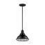 Newbridge 1 Light Small Pendant Fixture Gloss Black Finish w/ Silver and Textured Black Accents