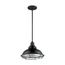 Newbridge 1 Light Large Pendant Fixture Gloss Black Finish w/ Silver and Textured Black Accents
