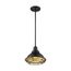 Newbridge 1 Light Small Pendant Fixture Dark Bronze Finish w/ Gold Accents