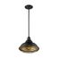 Newbridge 1 Light Large Pendant Fixture Dark Bronze Finish w/ Gold Accents