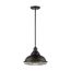 Newbridge 1 Light Large Pendant Fixture Dark Bronze Finish w/ Gold Accents