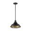 Newbridge 1 Light Large Pendant Fixture Dark Bronze Finish w/ Gold Accents