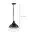 Newbridge 1 Light Large Pendant Fixture Dark Bronze Finish w/ Gold Accents