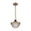 Faro 1 Light Small Pendant Fixture Burnished Brass Finish w/ Black Accents Clear Prismatic Glass