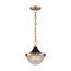 Faro 1 Light Small Pendant Fixture Burnished Brass Finish w/ Black Accents Clear Prismatic Glass