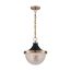 Faro 1 Light Large Pendant Fixture Burnished Brass Finish w/ Black Accents Clear Prismatic Glass