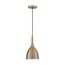 Bellcap 1 Light Small Pendant Fixture Burnished Brass Finish