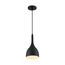 Bellcap 1 Light Small Pendant Fixture Matte Black Finish