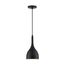 Bellcap 1 Light Small Pendant Fixture Matte Black Finish