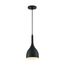 Bellcap 1 Light Small Pendant Fixture Matte Black Finish