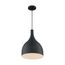 Bellcap 1 Light Large Pendant Fixture Matte Black Finish