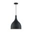 Bellcap 1 Light Large Pendant Fixture Matte Black Finish