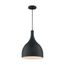 Bellcap 1 Light Large Pendant Fixture Matte Black Finish