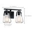 Skybridge 2 Light Vanity Fixture Matte Black Finish w/ Clear Glass