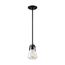 Skybridge 1 Light Mini Pendant Fixture Matte Black Finish w/ Clear Glass