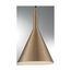 Lightcap 1 Light Small Pendant Fixture Burnished Brass Finish
