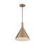 Lightcap 1 Light Large Pendant Fixture Burnished Brass Finish