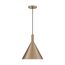 Lightcap 1 Light Large Pendant Fixture Burnished Brass Finish