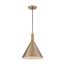 Lightcap 1 Light Large Pendant Fixture Burnished Brass Finish