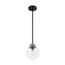 Axis 1 Light Pendant Fixture Matte Black Finish w/ Brass Accents Clear Glass (Pack of 2)