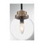 Axis 1 Light Pendant Fixture Matte Black Finish w/ Brass Accents Clear Glass (Pack of 2)