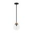 Axis 1 Light Pendant Fixture Matte Black Finish w/ Brass Accents Clear Glass (Pack of 2)